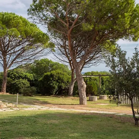 Apartman Trilo 6