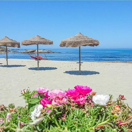 Apartman Trilo 6